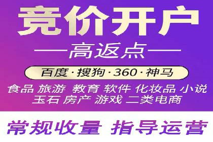 行业领先企业如何运用SEM进行精准营销